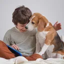 Zoocopet
